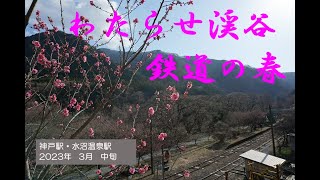 水沼温泉駅とわたらせ渓谷鉄道の春