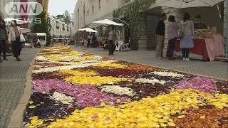 チューリップの花びらで敷き詰めた絨毯、色鮮やか(17/05/07)