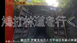 鳩打林道を行く ダートコースに挑戦 飯田市伊賀良と 大平宿を繋ぐ 鳩打林道 峠を過ぎると 未舗装区間が続きすれ違うのも命がけ リニア阿智村から掘削する中央アルプストンネルが横切ります