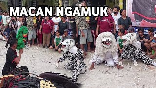 Macan Ngamuk Bantengan Putro Sawunggaling Live Klegen dlanggu mojokerto