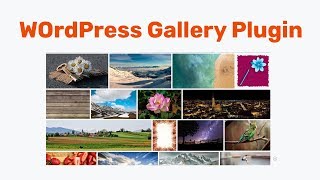 WordPress Gallery Plugin | Easy Image Gallery – Create a Lightbox Gallery on WordPress website