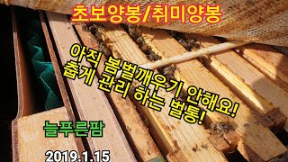 초보양봉/취미양봉 춥게 관리 하는 벌통 안은 어떨까요??  늘푸른팜  2019.1.15