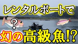 釣り少年達が幻の超高級魚を釣ったぜよ！