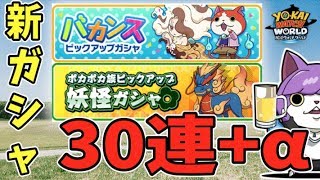 【妖怪WW】新ピックアップガシャ登場！３０連+αでＳランクを狙う！