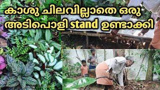 Zero cost Garden stand making/Garden makeover/കാടുപിടിച്ചു കിടന്ന കലാത്തിയ plants ഒതുക്കി/