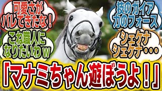 「ガイアフォースくん、必死に我慢する？www」に対するみんなの反応【競馬の反応集】