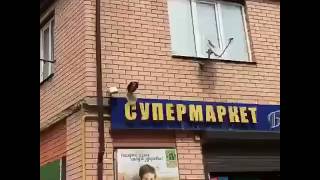 Вы сами себя губите