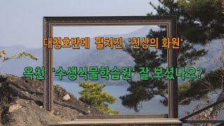 대청호반의 천상화원, 옥천 수생식물학습원  #천상의화원, #진짜진짜멋진곳, #세상에서가장작은교회당