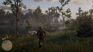 The most awkward moment in Red dead redemption 2 full creen