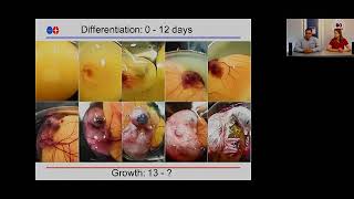 Webinar Wednesdays 6   Embryo Development