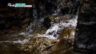 6시 내고향 - 신선들의 정원! 갈은구곡 - 충북 괴산.20160727