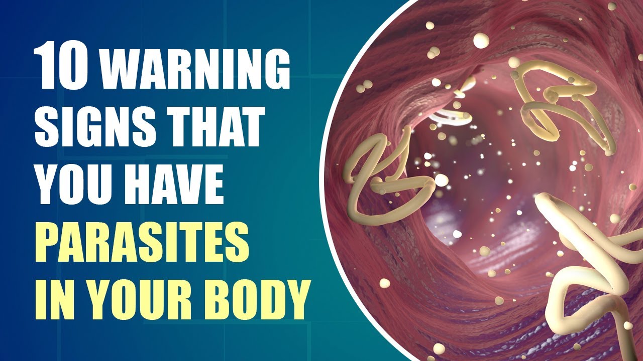 Don't Ignore These Early Symptoms Of Parasites In Your Body - YouTube