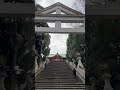 high stairs toward a beautiful shrine in the middle of tokyo