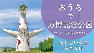 おうちで万博記念公園　～あじさいの森おさんぽ～