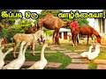 தனக்கென ஒரு காடு - Naveen Garden | Eco Tourism