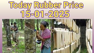 Today Rubber Price inTripura 15-01-2025@ShortGuide123youtube