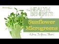 Microgreens, health benefits,nutrition Swasthyashopee