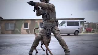 Scenario Training with Malinois "Athena" #malinois #k9 #dog #obedience #workingdog