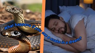 ৰাতে স্বপ্নে সাপ দেখলে কি হয় What happens if you see a snake in a dream?