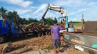 ธุรกิจรับซื้อไม้ยูคาน่าสนใจน่ะครับ