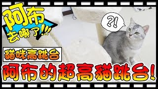 【Bonnie】阿布在哪裡?! - 貓咪高跳台│阿布的豪華貓跳台登場 ! ! 首次挑戰組裝大型跳台 ! !