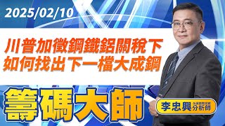 川普加徵鋼鐵鋁關稅下 如何找出下一檔大成鋼｜20250210｜李忠興 分析師｜籌碼大師