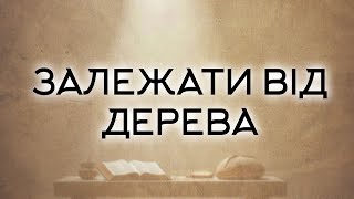 Роздуми над книгою \