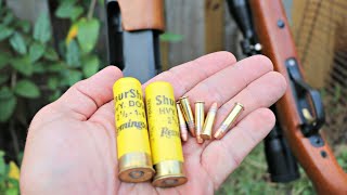 The TRUTH about .22 Long Rifle VS 20 gauge for Squirrel Hunting!