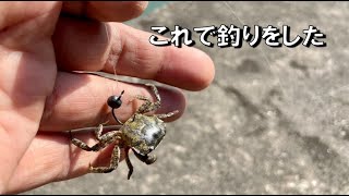 へチに居る獲物を狙い！大好物のエサを落とし込んでみた