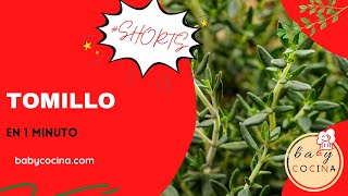 El #TOMILLO 🌱 | Propiedades y USOS #Shorts #HUERTA #Cultivo