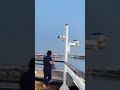 시누랑 올캐랑 canival ensenada cruise 마무리는 long beach 일출 보며 선내 조식 즐기기 엘에이일상