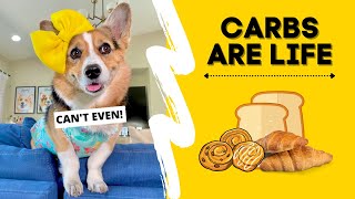 When CARBS are LIFE! #shorts
