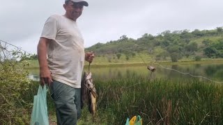 TARDE DE PESCA DE VARA DE BAMBU E LINHADA!