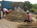 雲林阿勸社區下