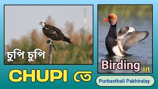 CHUPI || PURBASTHALI PAKHIRALAY || শীতের প্রথমে পাখি দেখতে পূর্বস্থলীর পাখিরালয়ে || Weekend Trip