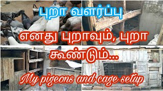 எனது புறாவும், புறா கூண்டும் / My all pigeons and cage set up / #pigeons #pigeoncage #pets