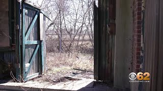 Eye On Detroit - Belle Isle Sawmill