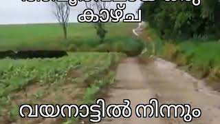 കണ്ടു നോക്ക്