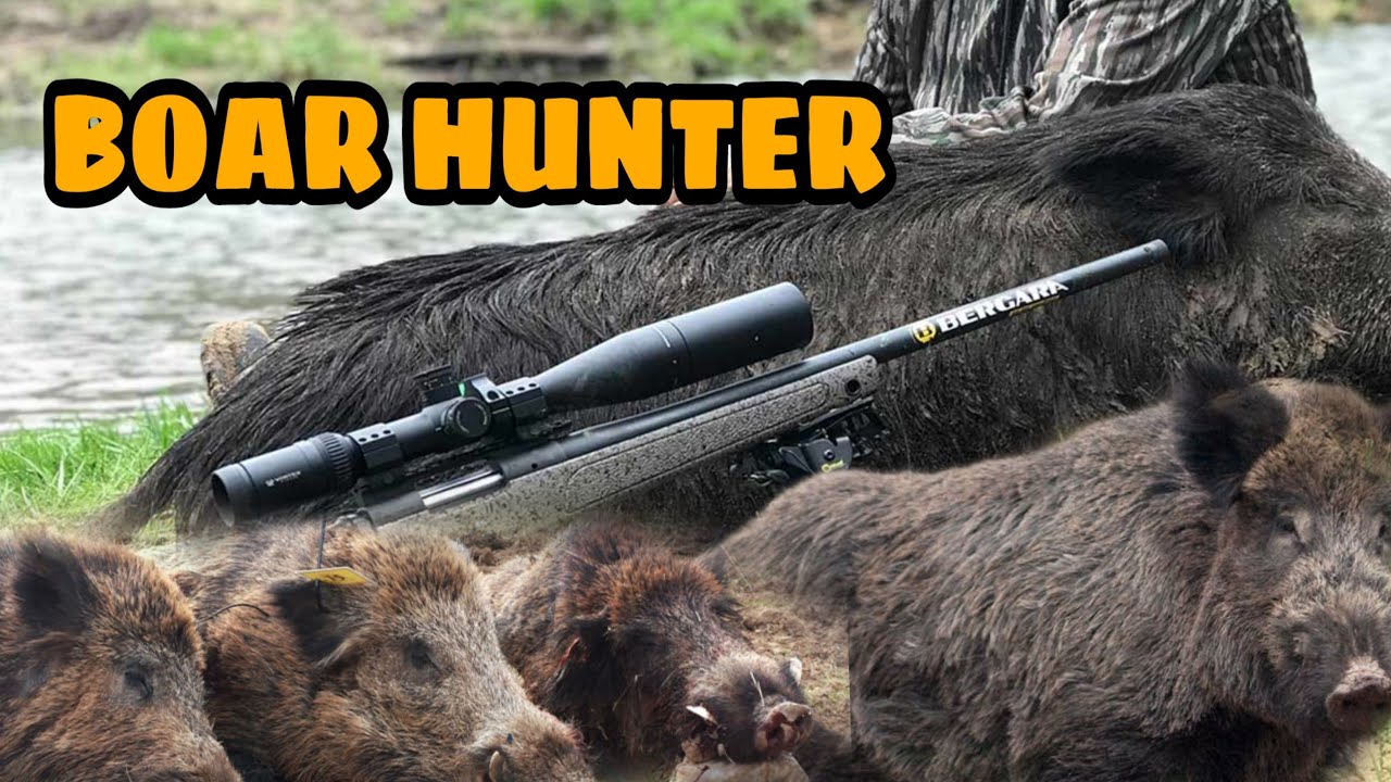 BOAR HUNTING, Berburu Babi Hutan Dengan Sniper. 🐗 - YouTube