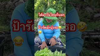 ป้ารัดผักบุ้งรอ🤣 #5555 #ลิปซิ้งค์ #แม่โสชาแนล #คนอีสาน #ตลก #ไวรัล #garden #gardening #ขำ #funny