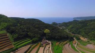 長崎県平戸市・春日の棚田　　（DJI Phantom3　ドローン空撮）