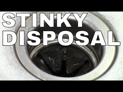 GARBAGE DISPOSAL- HOW TO CLEAN -- FAST Simple TRICK (ICE) GARBAGE DISPOSAL- HOW TO CLEAN -- FAST Simple TRICK (ICE)