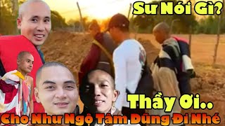 Sư Minh Tuệ Nói Gì Khi Anh Báu Xin Cho Như Ngộ, Tâm Dũng Và Minh Không Đi Theo Đoàn