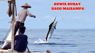 AMAZING TRADITIONAL BLUE MARLIN FISHING in the PHILIPPINES | HANDLINE FISHING