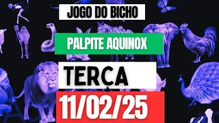 Palpit*para o dia 11/02/25 *JOG*DO BICH*de hoje*Palpit JB☆