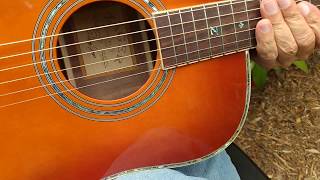 Zager Easy Play ZAD900E Acoustic Electric 50th Anniversary Tobacco Sunburst guitar walkaround