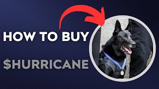 How To BUY $Hurricane - RIP Hurricane TOKEN CRYPTO COIN IN 60 SECONDS