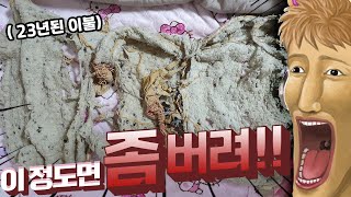 애착 이불을 23년동안 썼다는게 말이 돼?  - 나만 가지고 있는 물건 콘테스트