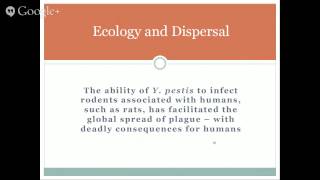 BITC/PHA_3 - Disease Ecology Intro