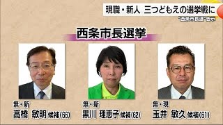 現職新人が三つどもえの戦い　西条市長選挙が告示【愛媛】 (24/11/03 18:00)